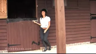 Diane Horse - Stable Pee
