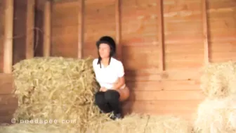 Diane Horse - Stable Pee