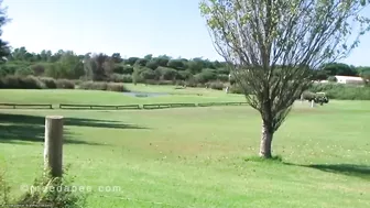 Rebekah - Golf club pee