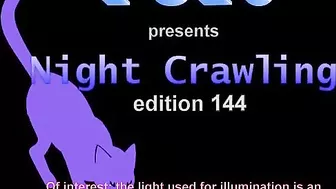 FU10 Night Crawling 144