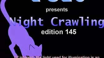 FU10 Night Crawling 145
