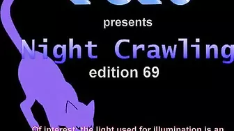 FU10 Night Crawling #69