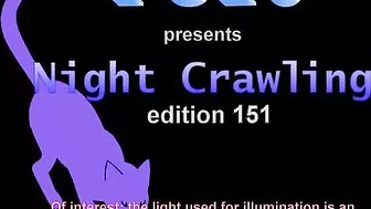 FU10 Night Crawling 151