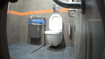 Gas Station Toilet 2022 (012-016)