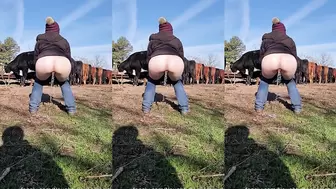 NaughtyRedFarmgirl - My neighbors cattle got ...